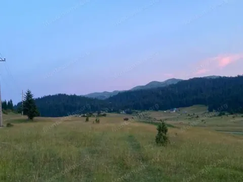 Prodaja, plac, 15531m², Krš, Žabljak - image 2