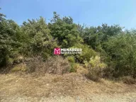 Sale, land lot, 30000m², Piperi, Podgorica - image 3