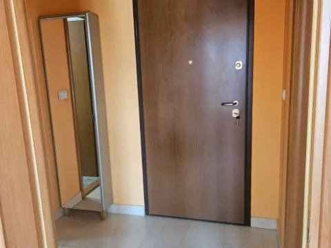 Izdavanje, jednosoban stan, 37m², Stari Aerodrom, Podgorica - image 9