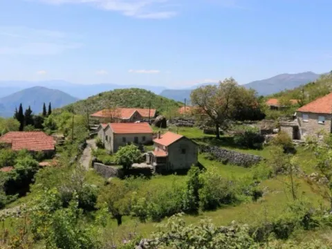 Prodaja, plac, 248500m², Kuči, Podgorica - image 2