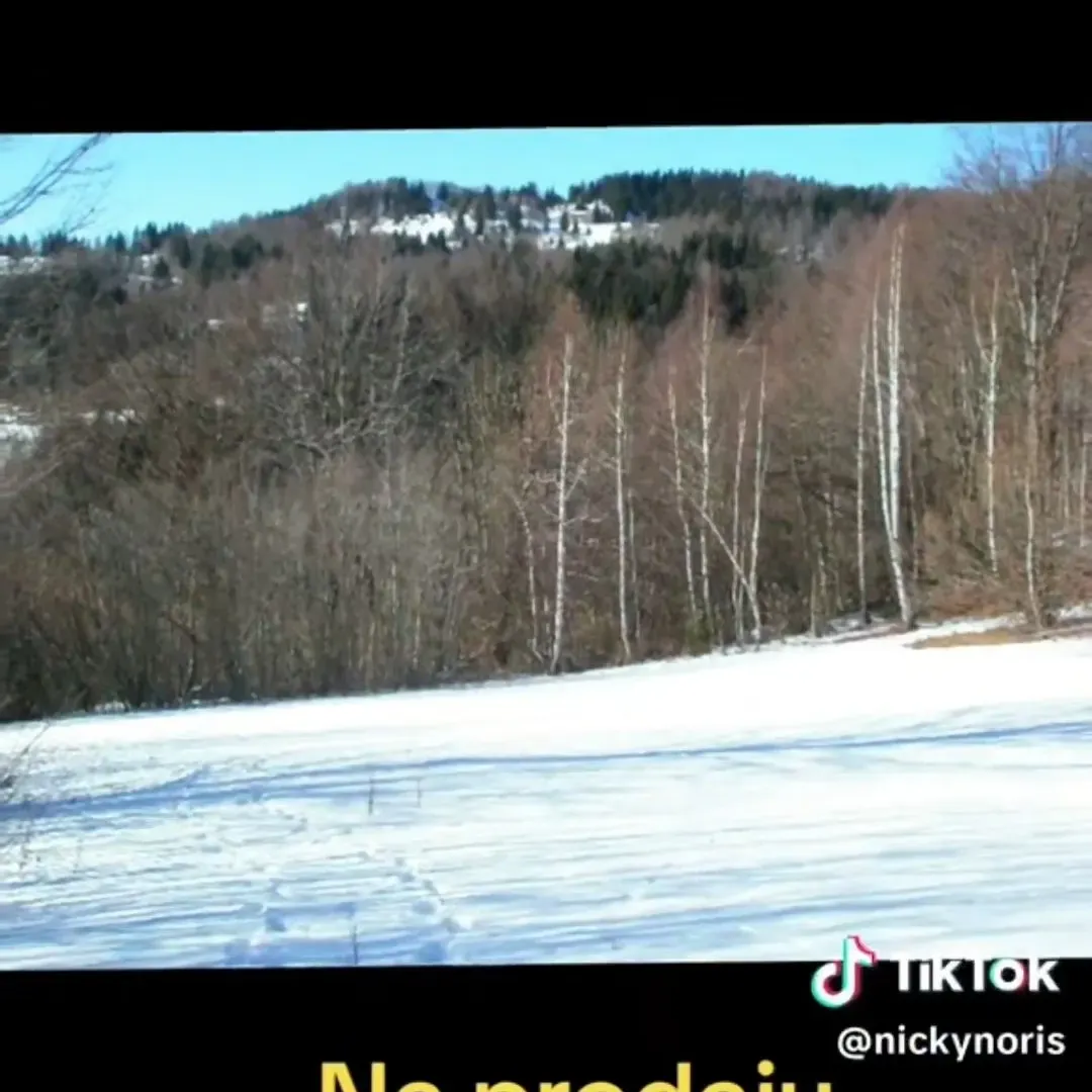 Prodaja, plac, 100000m², Sela, Kolašin