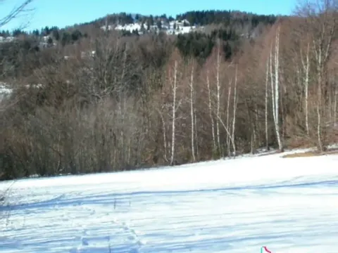 Prodaja, plac, 100000m², Sela, Kolašin - image 4