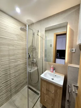 Modernly equipped bathroom with a walk-in shower and washbasin. - image 11