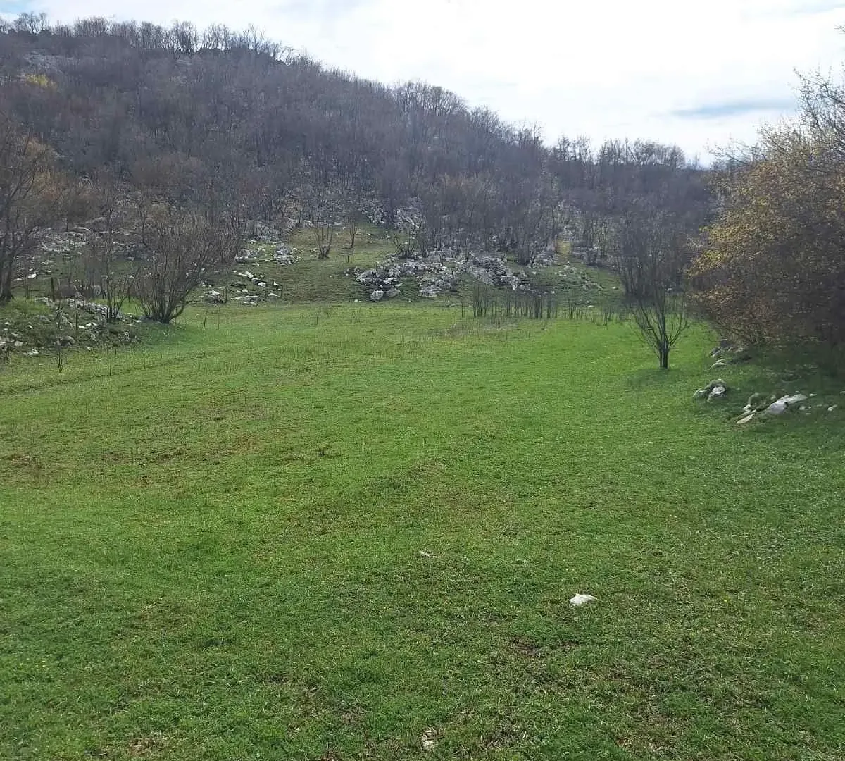 Prodaja, plac, 17000m², Podgorica, Crna Gora