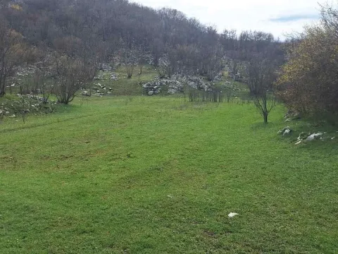 Prodaja, plac, 17000m², Podgorica, Crna Gora - image 9