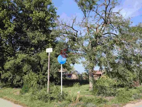 Prodaja, plac, 500m², Kelebija, Subotica - image 2