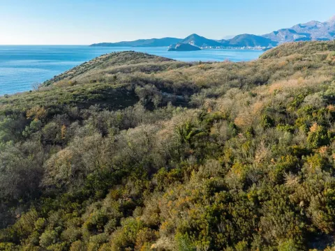 Sale, land lot, 9136m², Drobni pijesak, Budva - image 8