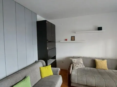 Izdavanje, dvosoban stan, 48m², Bulevar Oslobodjenja, Novi Sad Sve Podlokacije - image 1