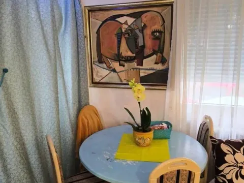 Izdavanje, trosoban stan, 66m², Crveni Pevac, Niš - image 9