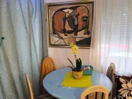 Izdavanje, trosoban stan, 66m², Crveni Pevac, Niš - image 9