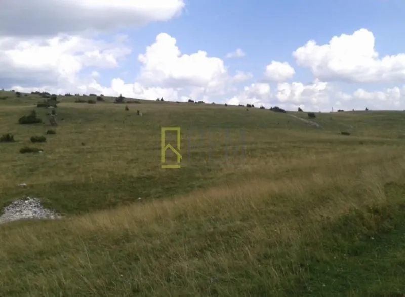 Prodaja, plac, 8098m², Motički gaj, Žabljak