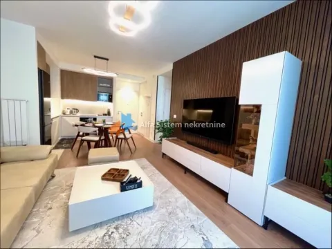 Izdavanje, dvosoban stan, 60m², Savski Venac, Beograd - image 4