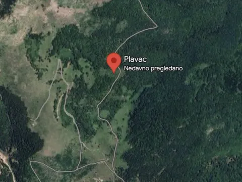 Prodaja, plac, 6000m², Petnjik, Berane - image 4
