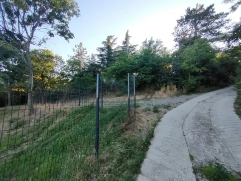 Sale, land lot, 1900m², Sremska Kamenica, Petrovaradin - image 19
