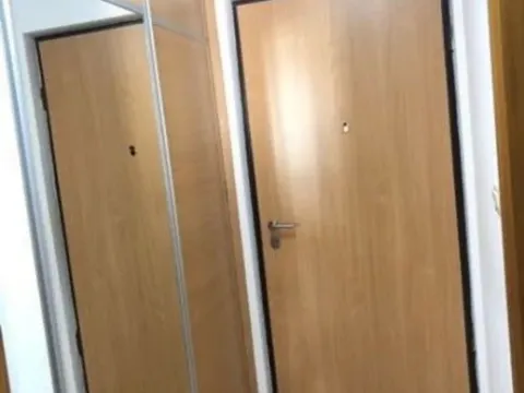 Prodaja, jednosoban stan, 44m², Stari Aerodrom, Podgorica - image 11