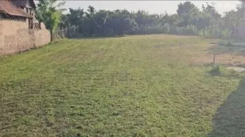 Prodaja, kuća, 84m², Žabalj, Srbija - image 3