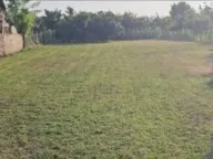 Sale, house, 84m², Žabalj, Srbija - image 3