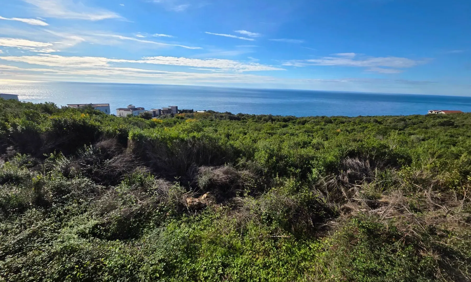 Prodaja, plac, 1000m², Krimovica, Kotor