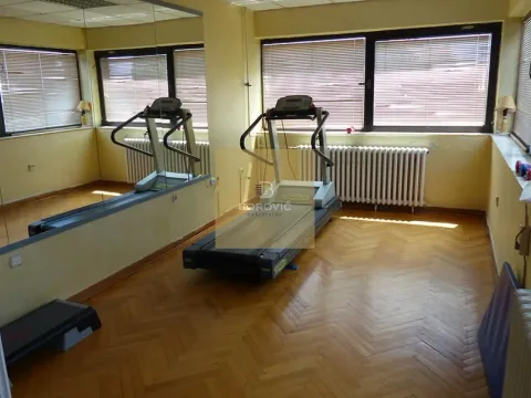 Prodaja, poslovni prostor, 273m², Banovo Brdo, Beograd - image 5