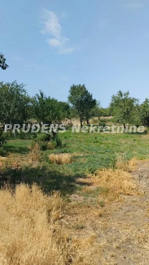 Sale, house, 300m², Dobanovci, Surčin