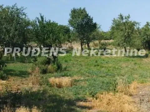 Sale, house, 300m², Dobanovci, Surčin - image 12