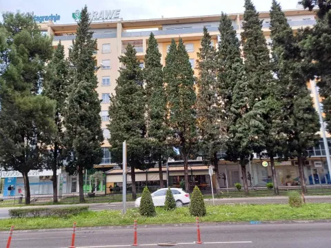 Prodaja, stan, 47m², Centar, Podgorica - image 13