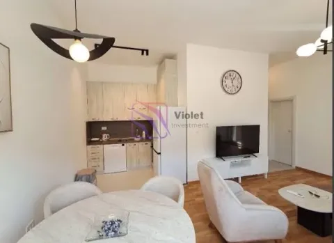 Rent, one bedroom apartment, 45m², Zabjelo, Podgorica - image 11
