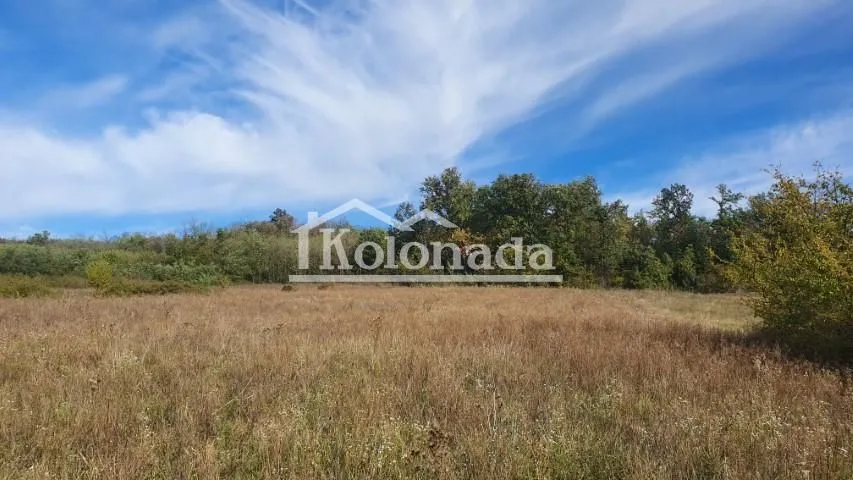 Prodaja, plac, 9500m², Parcani, Sopot