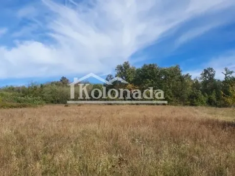 Prodaja, plac, 9500m², Parcani, Sopot - image 3