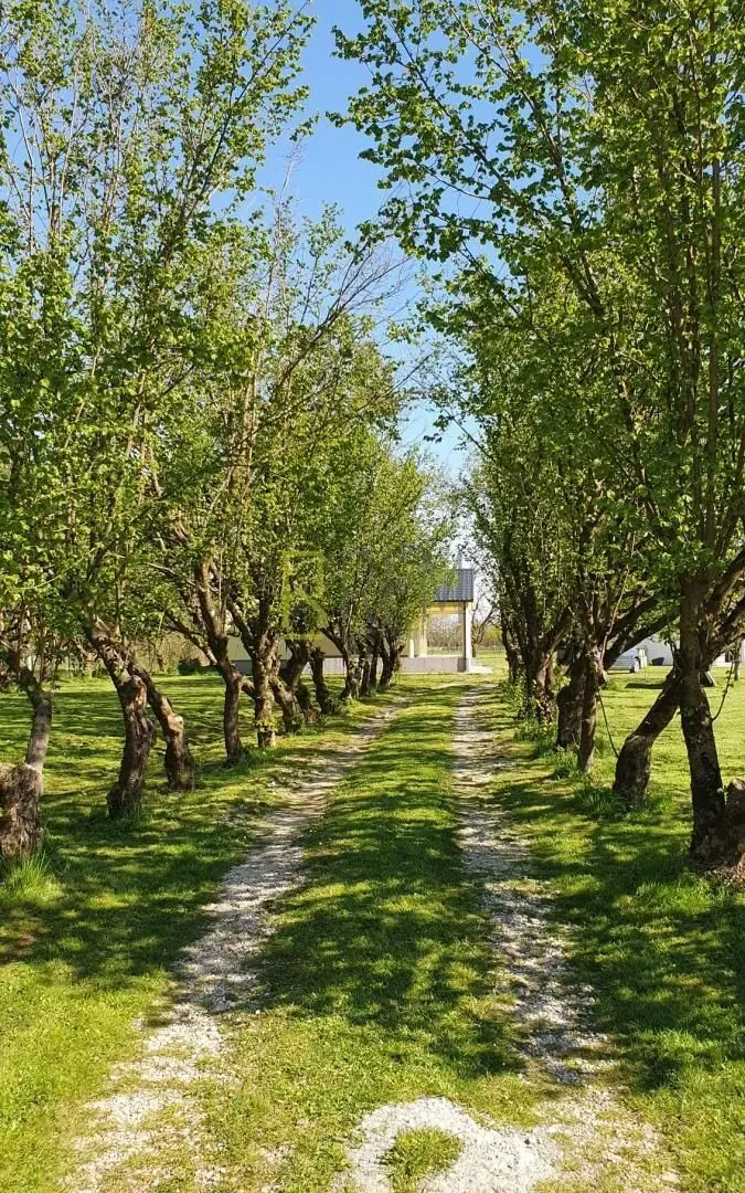 Prodaja, kuća, 132m², Ćurilac, Danilovgrad