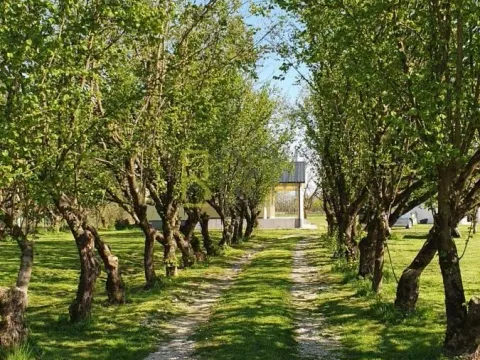 Sale, house, 132m², Ćurilac, Danilovgrad - image 15