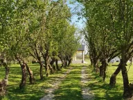 Sale, house, 132m², Ćurilac, Danilovgrad - image 15