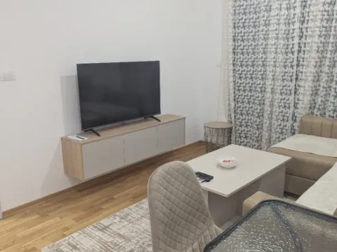 Daily-rent, one bedroom apartment, 39m², Zabjelo, Podgorica - image 6