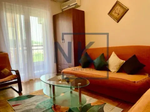 Rent, studio apartment, 28m², Zabjelo, Podgorica - image 3