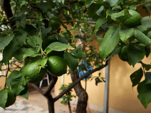 Sale, house, 110m², Budva, Crna Gora - image 24