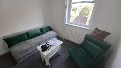 Izdavanje, garsonjera, 20m², Centar, Novi Sad - image 2
