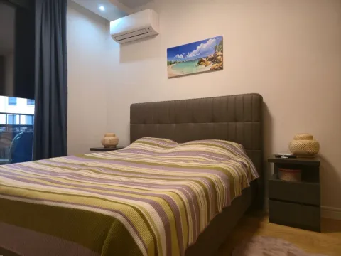 Izdavanje, jednosoban stan, 57m², Central Point, Podgorica - image 11