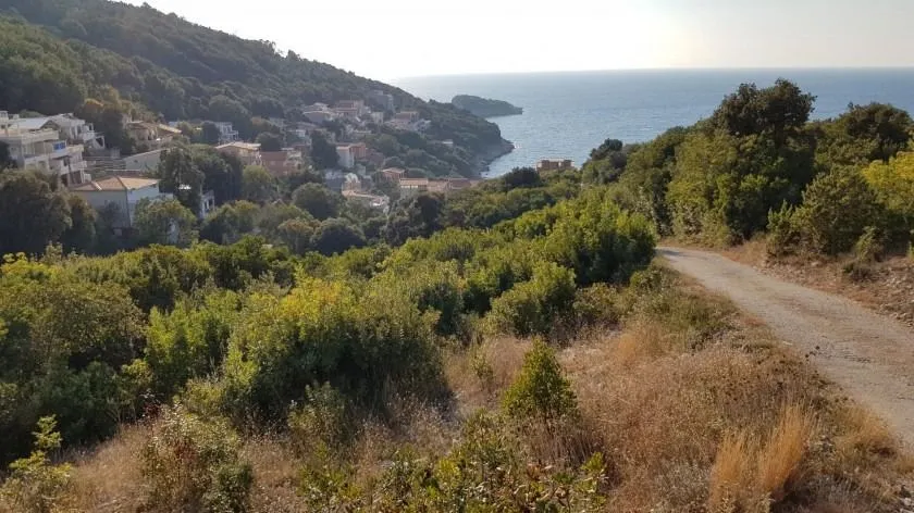 Prodaja, plac, 1594m², Bar, Crna Gora