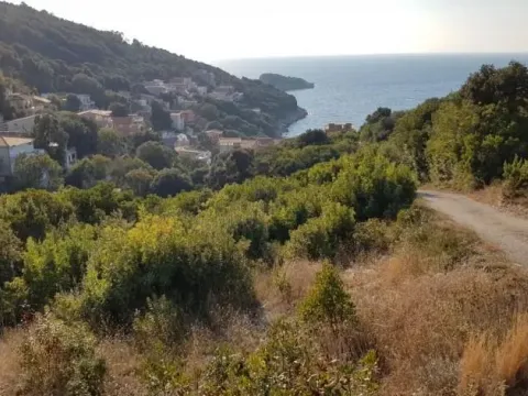 Prodaja, plac, 1594m², Bar, Crna Gora - image 1