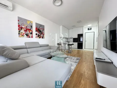 Izdavanje, jednosoban stan, 47m², Stari Aerodrom, Podgorica - image 3