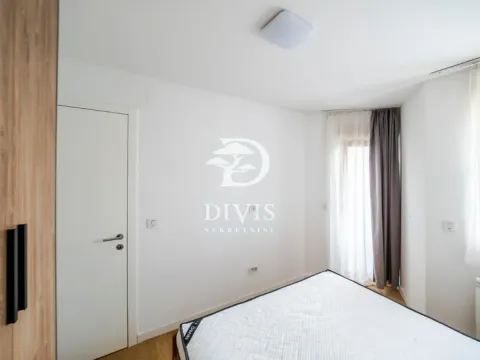 Izdavanje, dvosoban stan, 49m², Vračar Hram, Vračar Sve Podlokacije - image 16