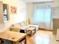 Izdavanje, jednosoban stan, 48m², Centar, Novi Sad - image 1