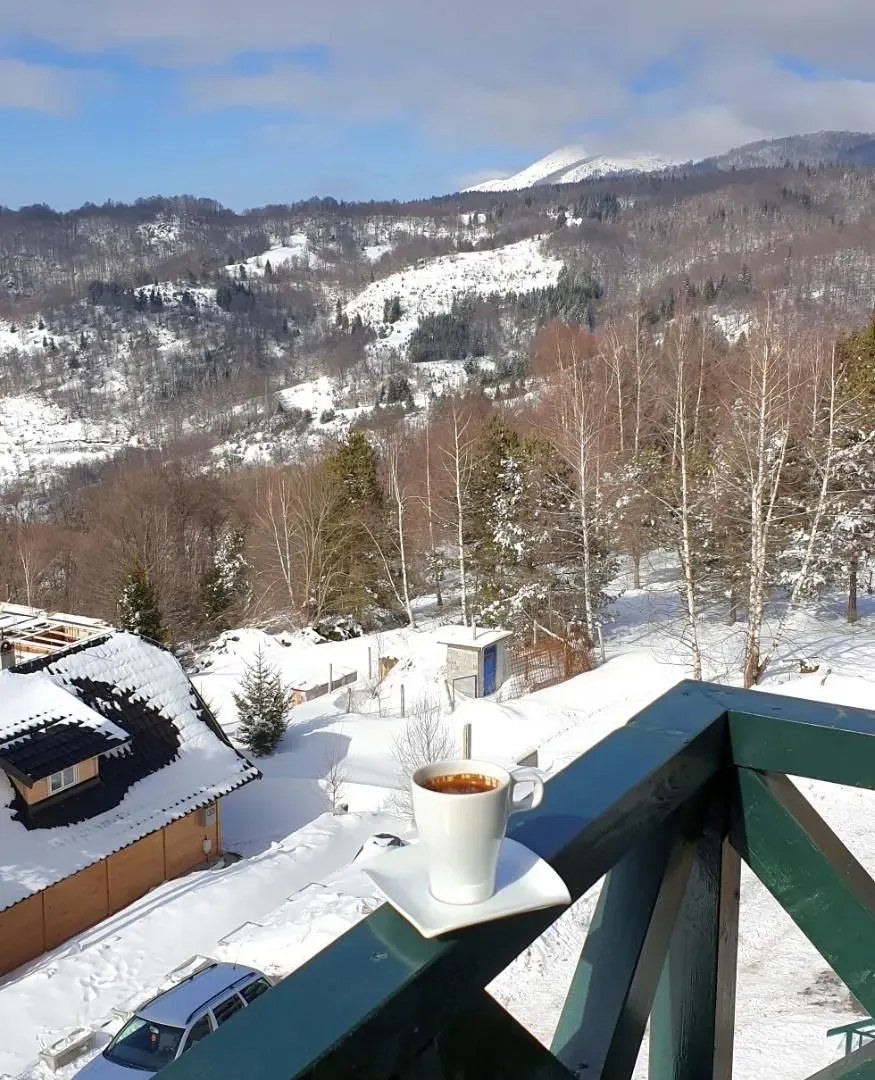 Prodaja, jednosoban stan, 29m², Kopaonik, Srbija