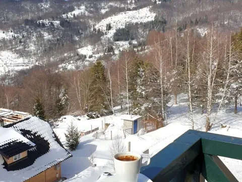 Sale, one bedroom apartment, 29m², Kopaonik, Srbija - image 11