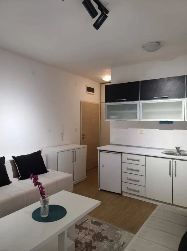 Izdavanje, garsonjera, 30m², Rafailovići, Budva