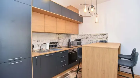 Rent, two bedroom apartment, 42m², Golubovina, Budva - image 2