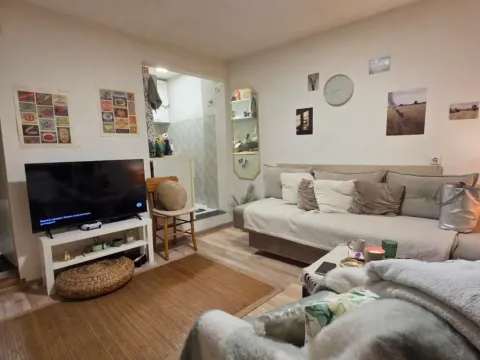 Sale, one bedroom apartment, 30m², Vukov Spomenik, Zvezdara Sve Podlokacije - image 3