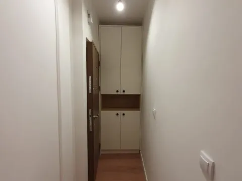 Izdavanje, jednosoban stan, 45m², Preko Morače, Podgorica - image 9