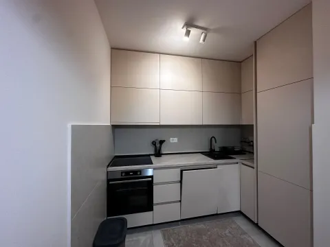 Izdavanje, jednosoban stan, 50m², Central Point, Podgorica - image 4