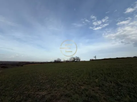 Sale, land lot, 24207m², Beočin, Srbija - image 16